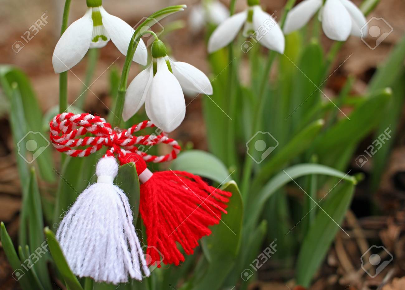 117811616 snowdrops and martenitsa symbols of spring white snowdrop flowers and martisor baba marta holiday tr