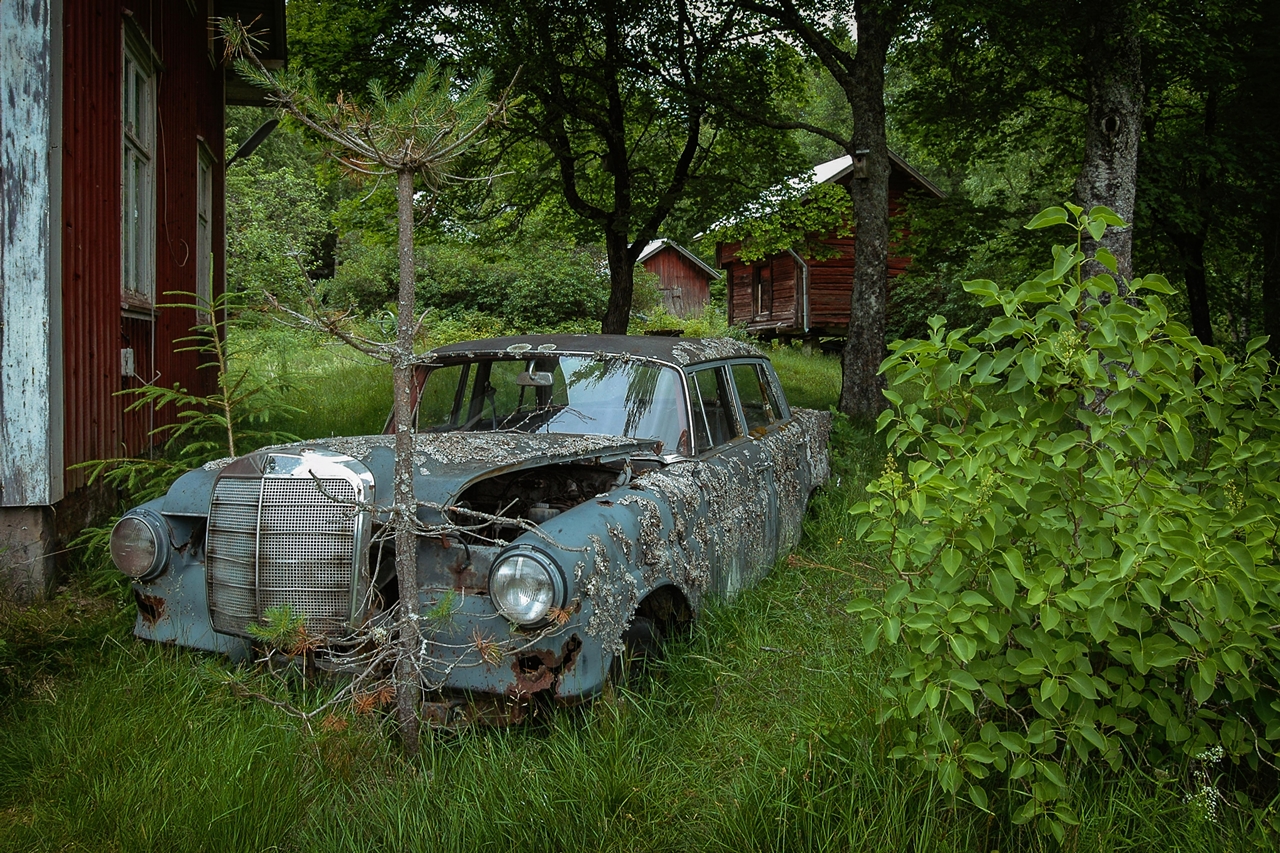 World of abandoned cars 08